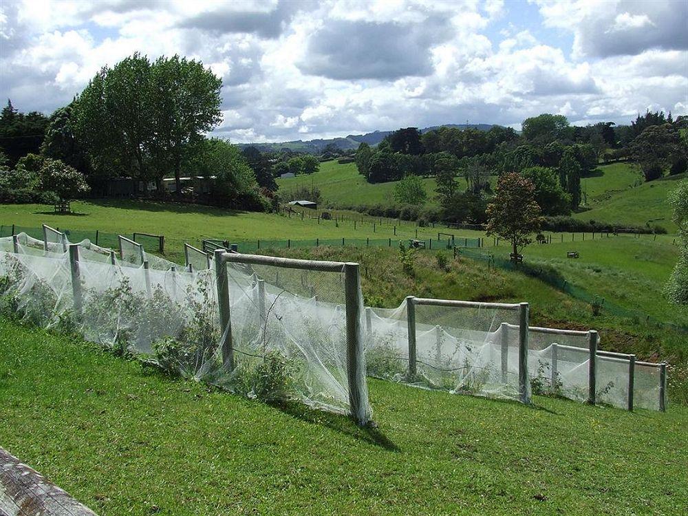Runciman Berries&Emus B&B Ramarama Exterior foto