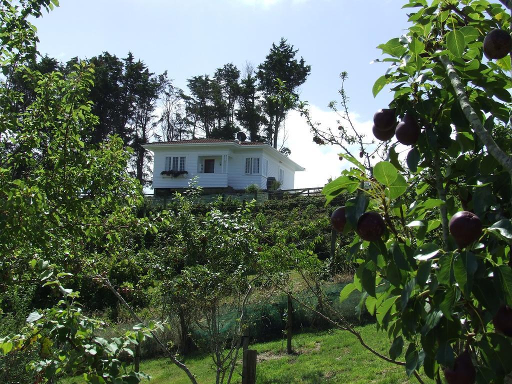 Runciman Berries&Emus B&B Ramarama Exterior foto